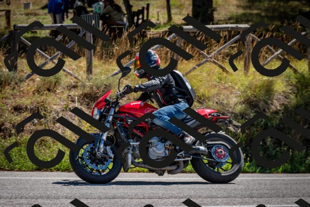 202508311109-DSC_8399_c2