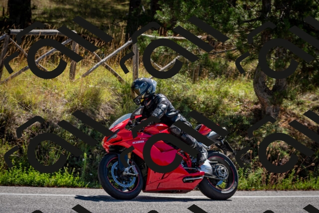 202508311109-DSC_8402_c2