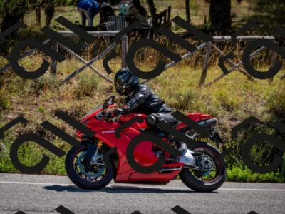 202508311109-DSC_8403_c2