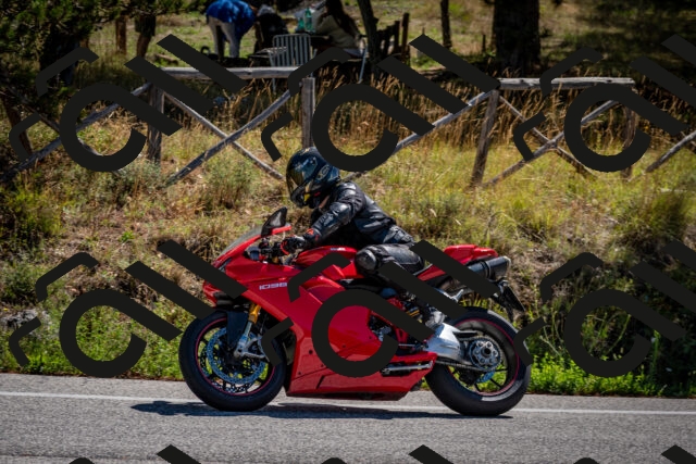 202508311109-DSC_8403_c2