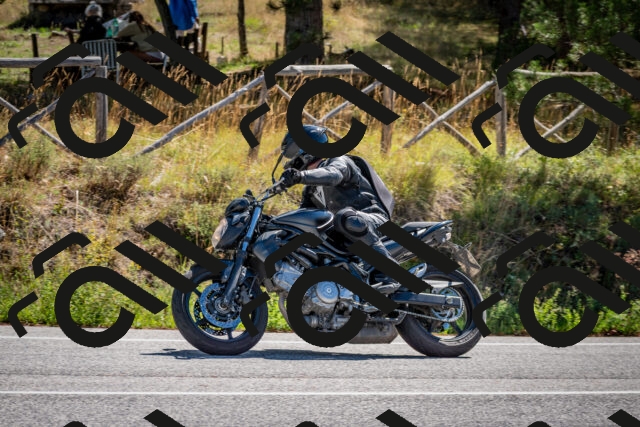 202508311109-DSC_8409_c2