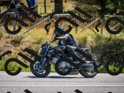 202508311109-DSC_8409_c2