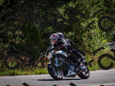 202508311110-DSC_8419_c2