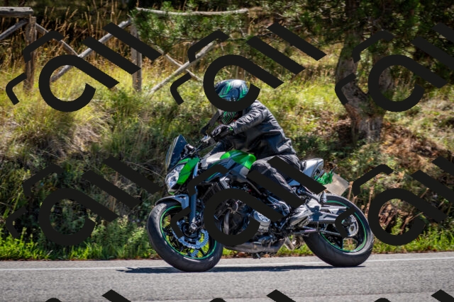 202508311110-DSC_8422_c2