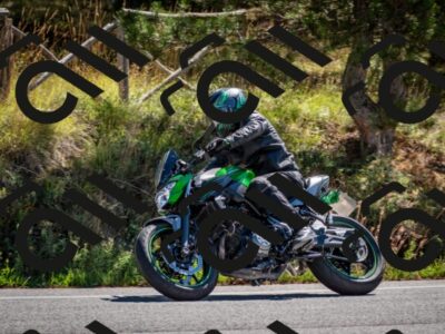 202508311110-DSC_8422_c2