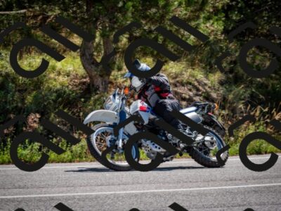 202508311117-DSC_8480_c2