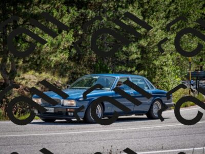 202508311120-DSC_8530_c2