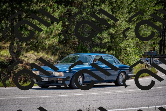 202508311120-DSC_8530_c2