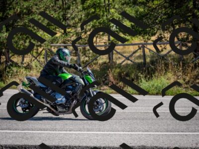 202508311120-DSC_8539_c2