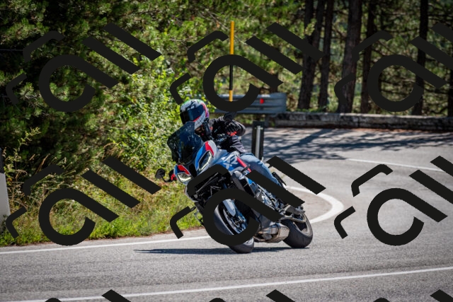 202508311121-DSC_8542_c2