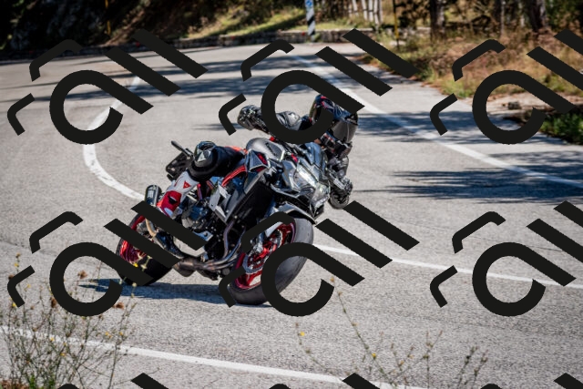 202508311121-DSC_8553_c2