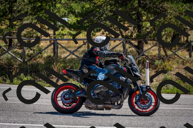 202508311123-DSC_8569_c2