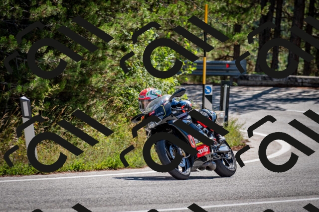 202508311127-DSC_8594_c2