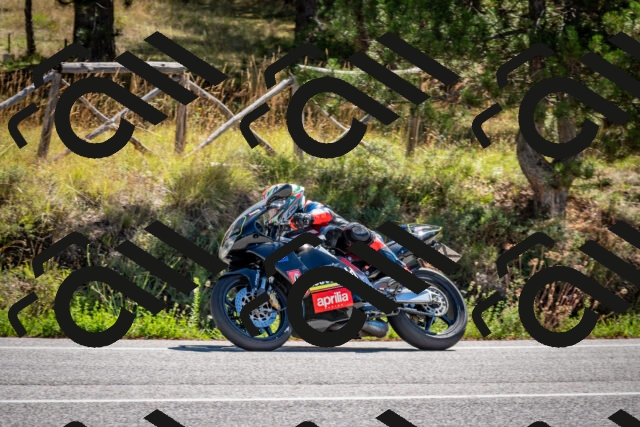 202508311127-DSC_8595_c2