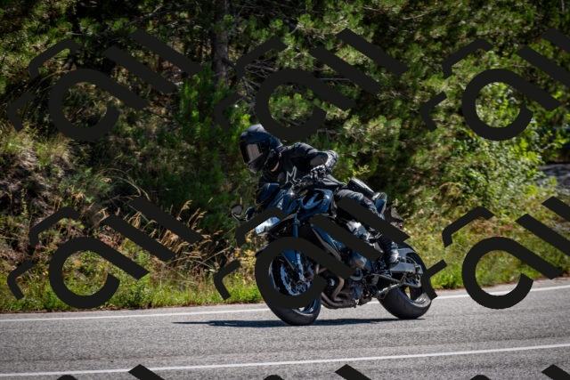 202508311128-DSC_8602_c2