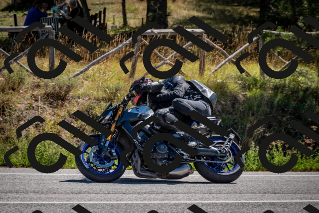 202508311128-DSC_8605_c2