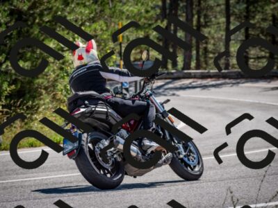 202508311132-DSC_8651_c2