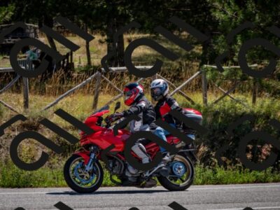 202508311137-DSC_8677_c2