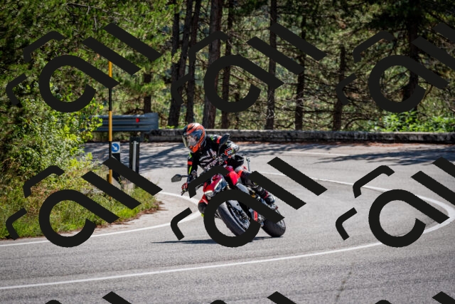 202508311137-DSC_8682_c2