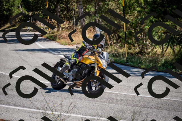 202508311138-DSC_8696_c2