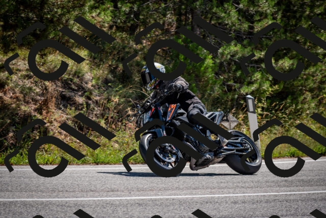 202508311138-DSC_8707_c2