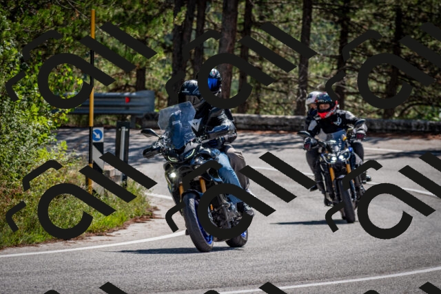 202508311138-DSC_8721_c2