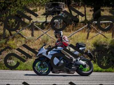 202508311152-DSC_8855_c2