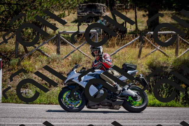 202508311152-DSC_8855_c2