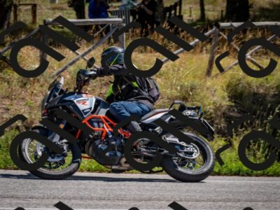 202508311159-DSC_8976_c2