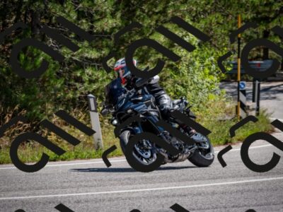 202508311200-DSC_9000_c2