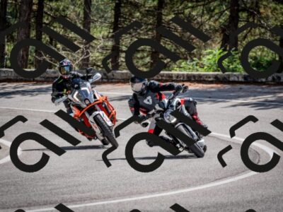 202508311227-DSC_9300_c2