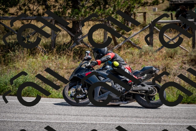 202508311227-DSC_9308_c2