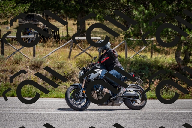 202508311231-DSC_9376_c2