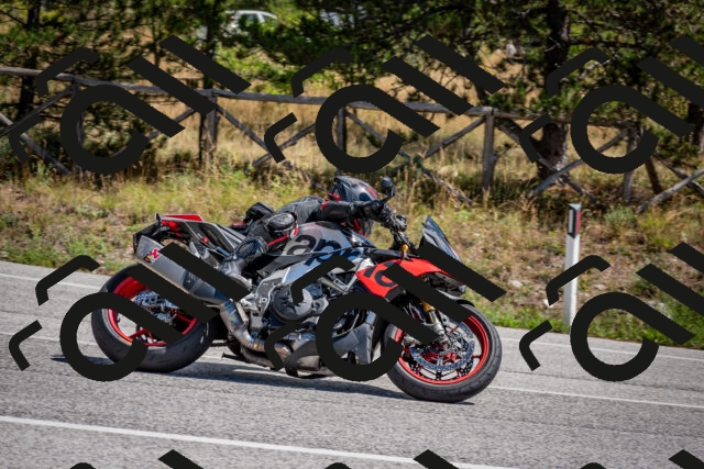 202508311233-DSC_9410_c2