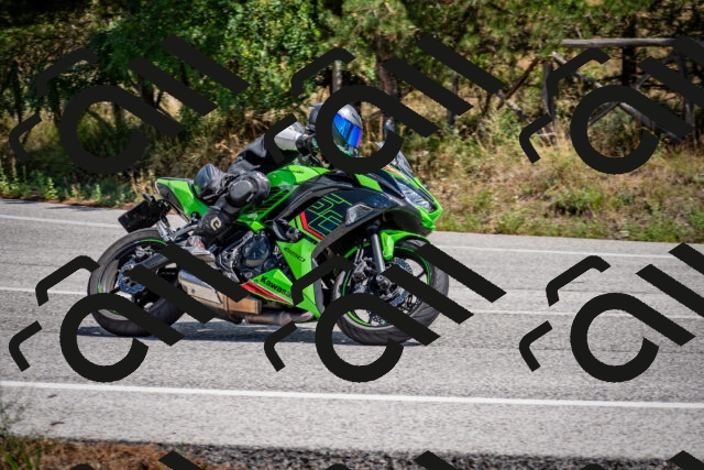 202508311233-DSC_9415_c2