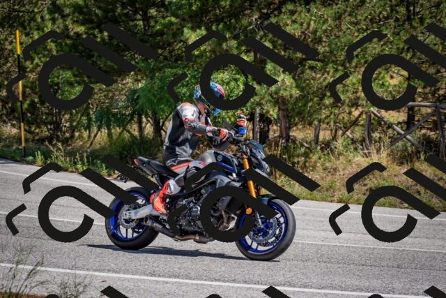 202508311234-DSC_9422_c2