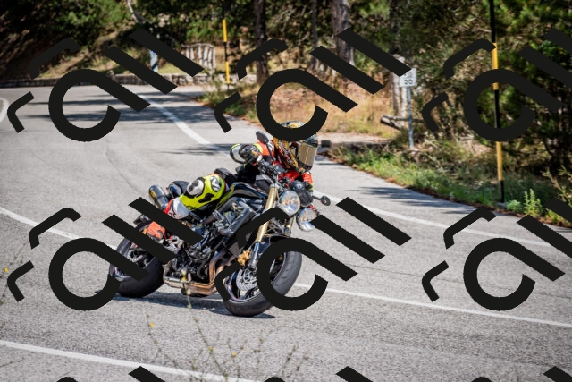 202508311234-DSC_9429_c2