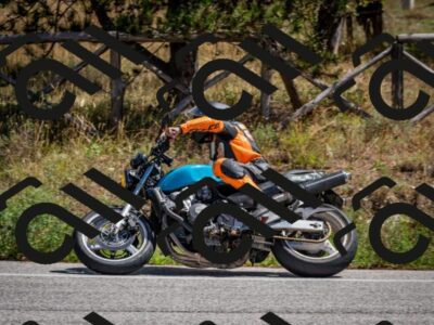 202508311235-DSC_9456_c2