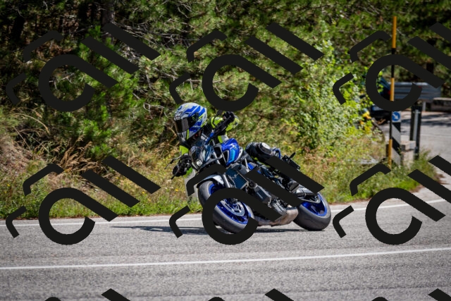 202508311238-DSC_9482_c2