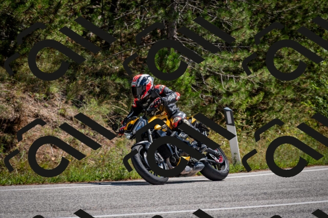 202508311244-DSC_9556_c2