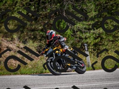 202508311244-DSC_9556_c2