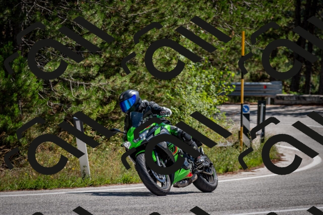 202508311244-DSC_9563_c2