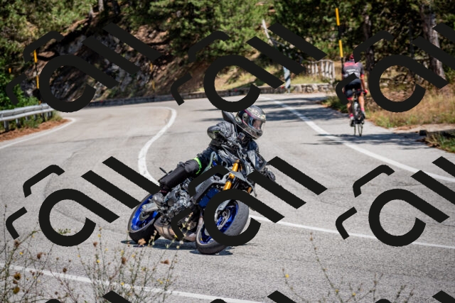 202508311245-DSC_9581_c2