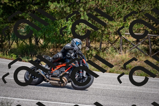 202508311258-DSC_9692_c2