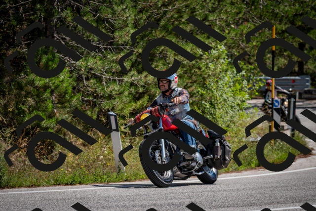 202508311301-DSC_9734_c2