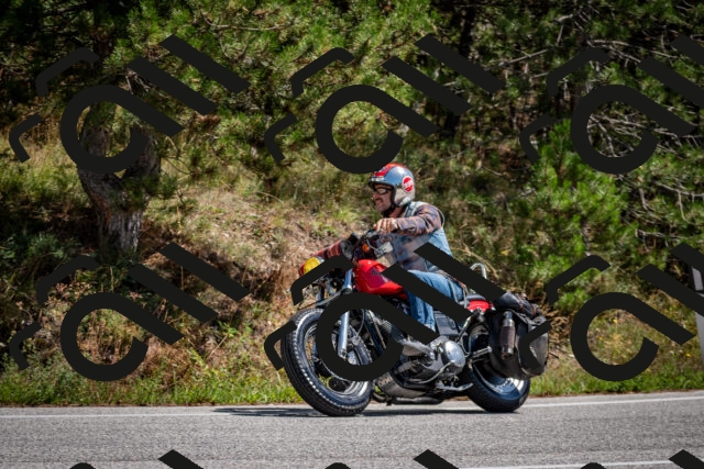 202508311301-DSC_9735_c2