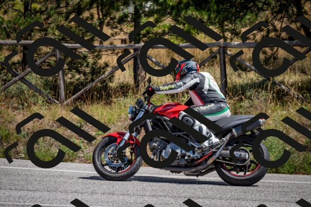 202508311301-DSC_9739_c2