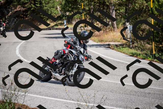 202508311301-DSC_9743_c2