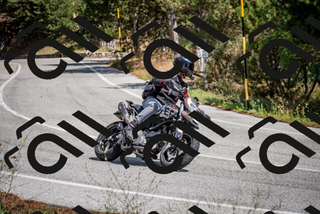 202508311301-DSC_9747_c2