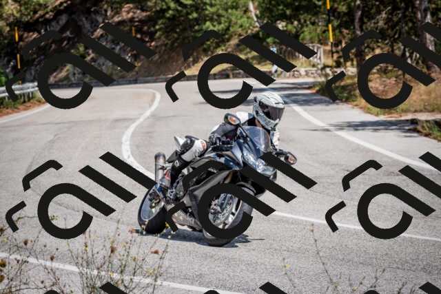 202508311302-DSC_9749_c2